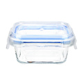 new style food container glass with locking lids